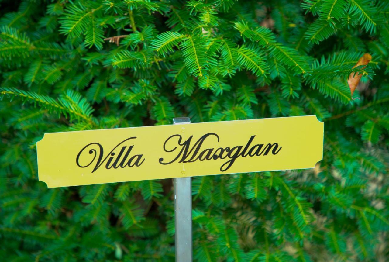 Villa Maxglan Salzburg Buitenkant foto